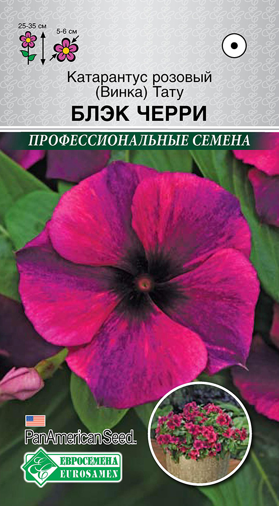 ���������� ������ ���������� ���������� ������� (�����) ���� ���� �����, 5 ��. PanAmSeeds ���������������� ������  