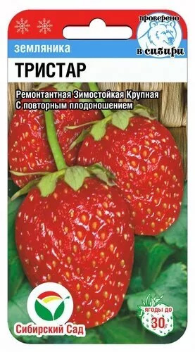 ���������� ������ ��������� ��� ��������� ������������ ������������� (��������) �������, 10 ��.  