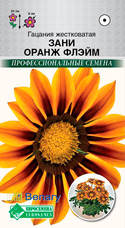 ���������� ������ ���������� ������� ����������� ���� ����� �����, 3 ��. Benary ���������������� ������  