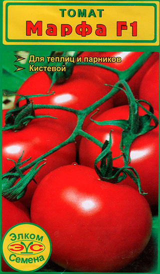 ���������� ������ ����� ������ ����� ����� F1, 5 ��.  