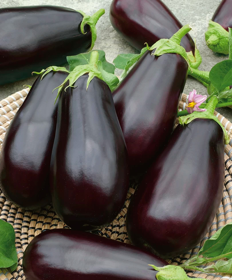 ���������� ������ ���� ������ �������� ������ F1, 10 ��.  