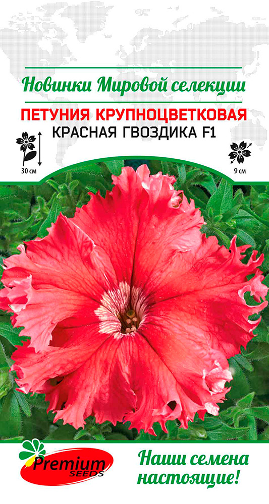  Premium seeds     F1, 7 .    , -, 