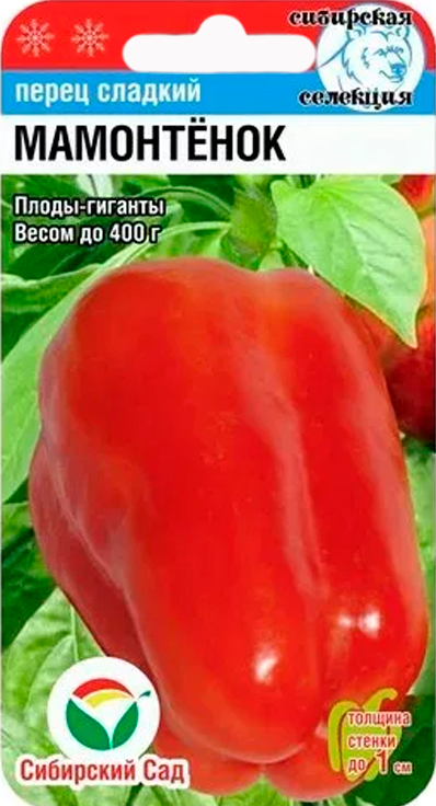 ���������� ������ ��������� ��� ����� ������� ����������, 15 ��. ��������� ��������  