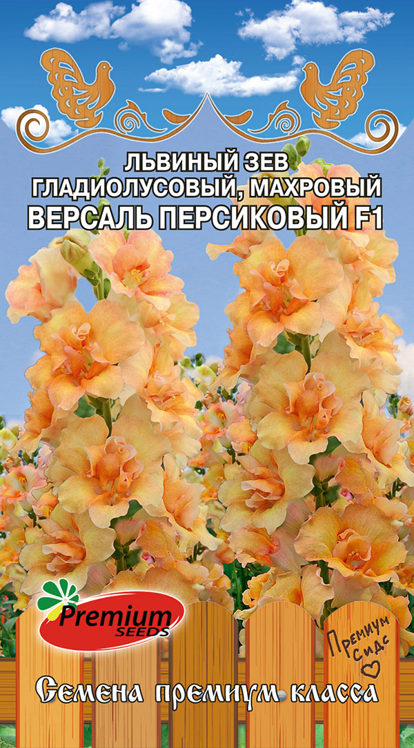 ���������� ������ Premium seeds ������� ��� ������������� �������� ������� ���������� F1, 5 ��. ������ �� ������  