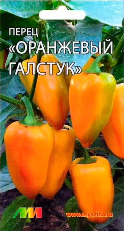 ���������� ������ ������ ������ ����������� ����� ������� ������� ���������, 10 ��.  