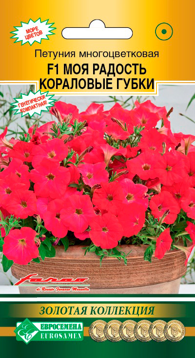 ���������� ������ ���������� ������� �������������� ��� ������� ����������� ����� F1, 5 ����� Farao ������� ���������  