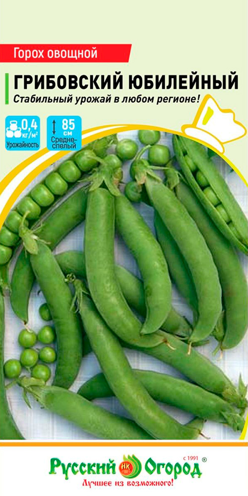 ���������� ������ ������� ������ ����� ������� ���������� ���������, 6 �  