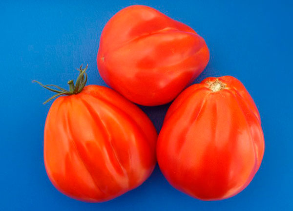 ���������� ������ ����� ������ ����� ������ �������, 5 ��.  