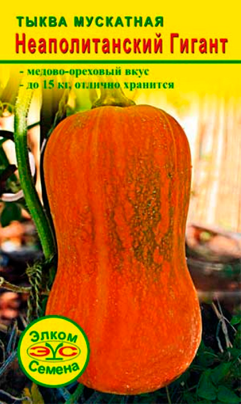 ���������� ������ ����� ������ ����� ��������� �������������� ������, 5 ��.  