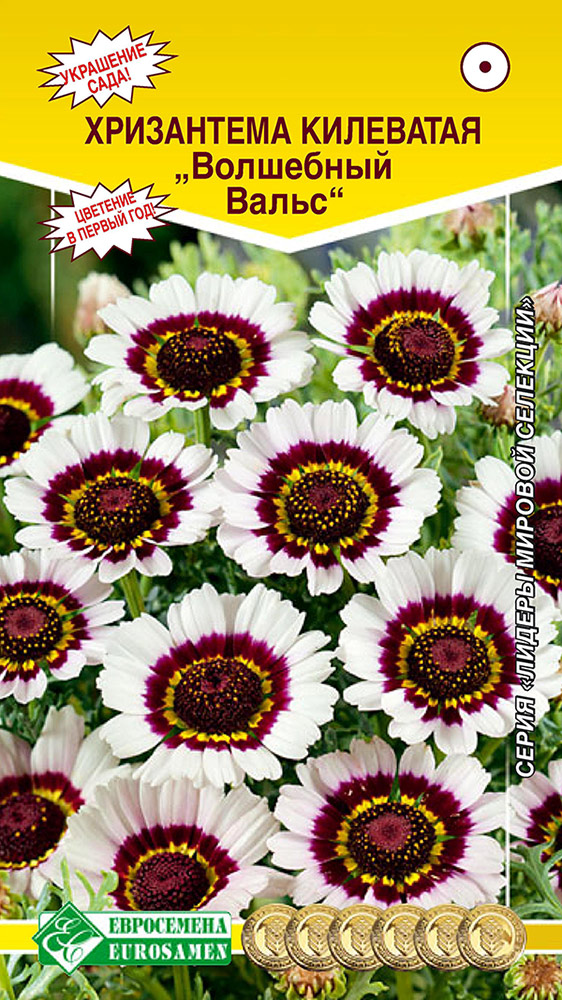 ���������� ������ ���������� ���������� ��������� ��������� �����, 0,2 � ������ ������� ��������  