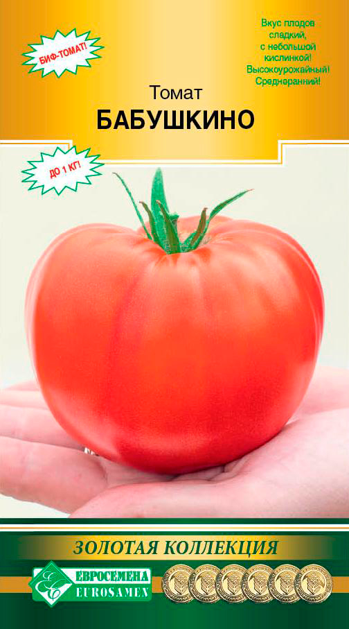 ���������� ������ ���������� ����� ���������, 10 ��. ������� ���������  