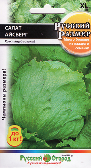 ���������� ������ ������� ������ ����� �������� ������� ������� ������, 0,3  �  