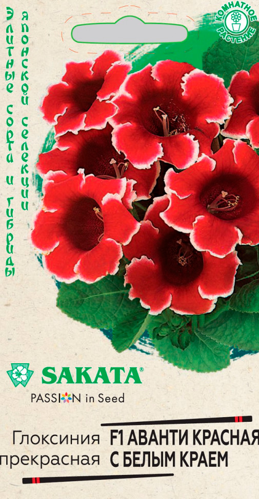         F1, 4 . Sakata    , -, 