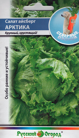 ���������� ������ ������� ������ ����� �������� ������� �������, 1 � �������� �����  