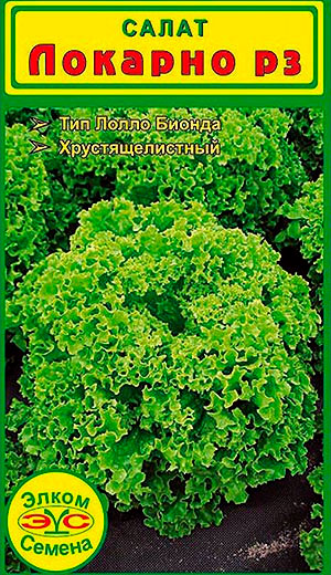 ���������� ������ ����� ������ ����� �������, 0,1 �  