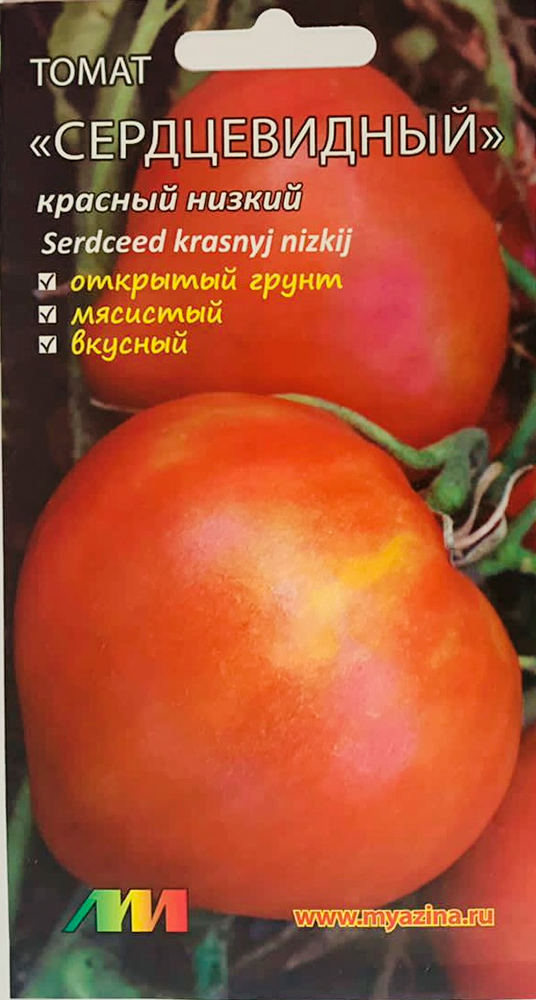 ���������� ������ ������ ������ ����������� ����� ������������ ������� �����������, 10 ��.  