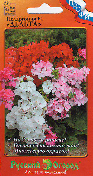 ���������� ������ ������� ������ ���������� ������ F1, �����, 5 ��. �����  