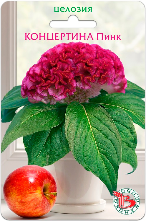 ���������� ������ ���������� ������� ��������� ���������� ����, 8 ��.  