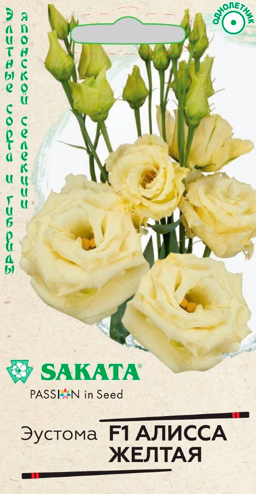       F1, 4 . Sakata     , -, 