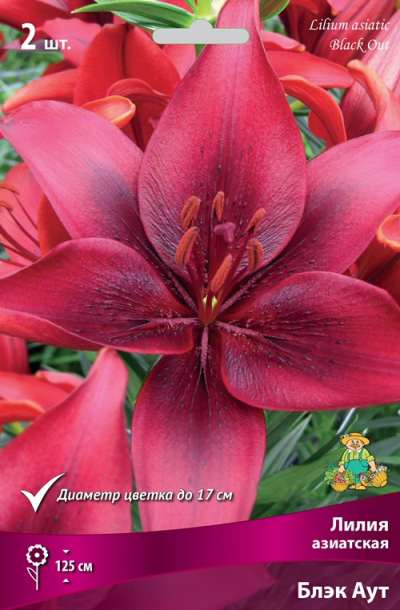 ���������� ���������� �������� ����� ��������� ����� ��������� ���� ���, 2 ��.  