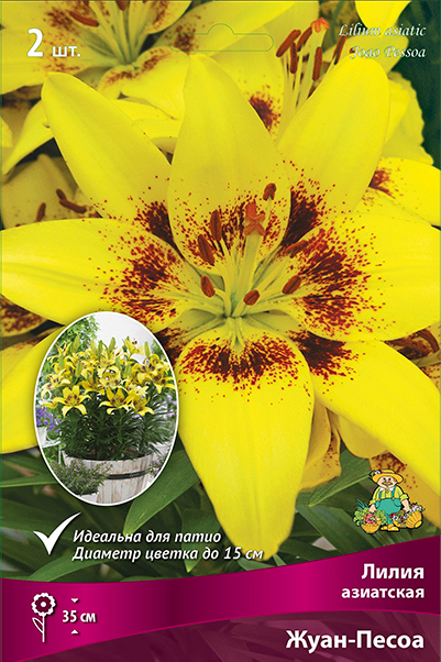 ���������� ���������� �������� ����� ��������� ����� ��������� ��������� ����-�����, 2 ��.  