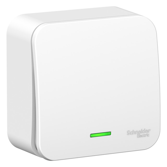 ���������� ����������� 1-��������� SYSTEME ELECTRIC Blanca 10� �/� �����  