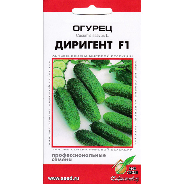 ���������� ������ ������ ��� ����� �������� F1 6��  