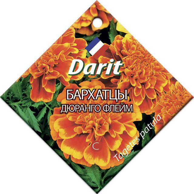 ���������� ������ �������� DARIT ������� ����� 10��  