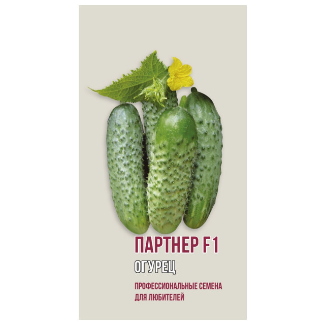 ���������� ������ ������ ������� F1 ������ 5��  