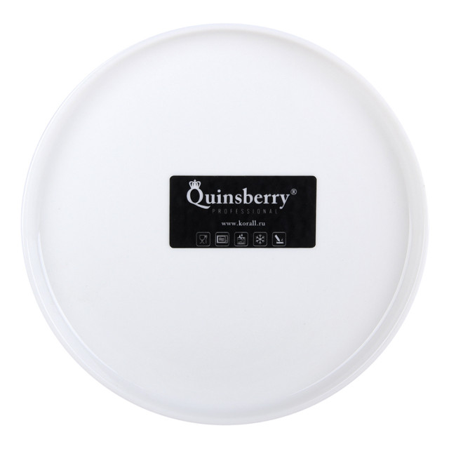 ���������� ������� QUINSBERRY Sola 17�� ��������� ������  