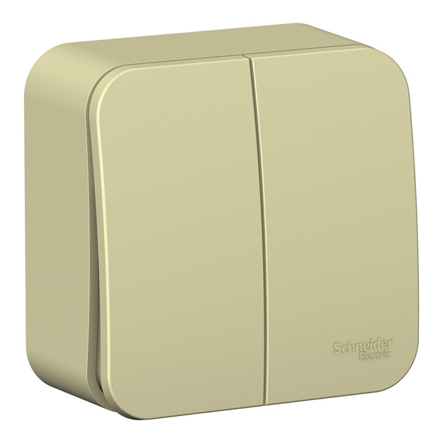 ���������� ����������� 2-��������� SYSTEME ELECTRIC Blanca 10A �������  