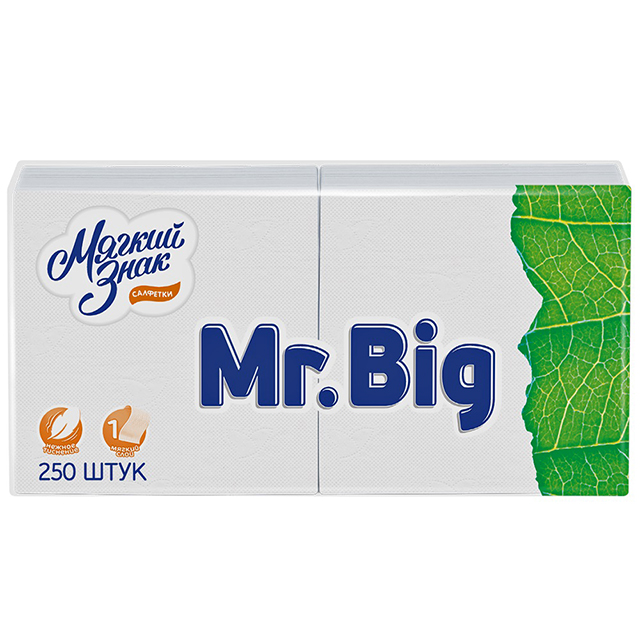 ���������� �������� ������ ���� Mr.Big 1-������� 24�24�� 250��  