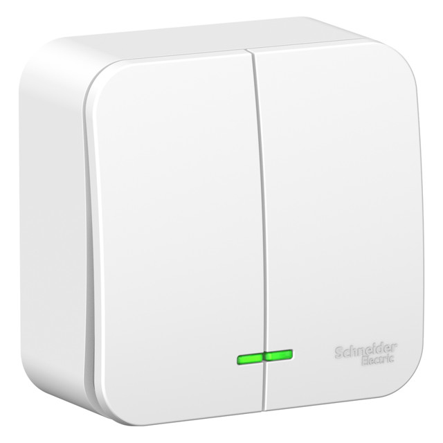 ���������� ����������� 2-��������� SYSTEME ELECTRIC Blanca 10A �/� �����  