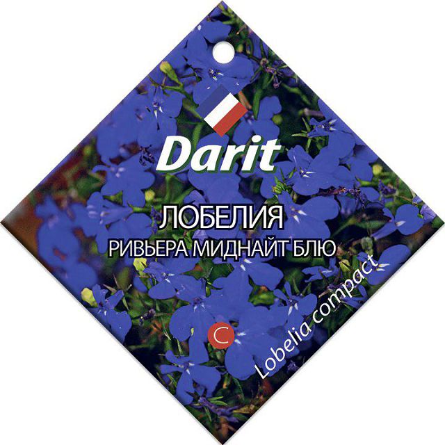 ���������� ������ ������� ������� ������� ��� DARIT 10��  