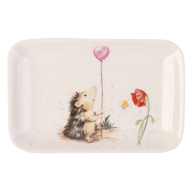���������� ������� TODELIA ������ ������ 16,3�10,5�� ��������� ������  
