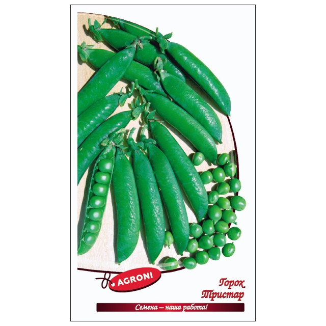 ���������� ������ ����� ������� ������ 5�  