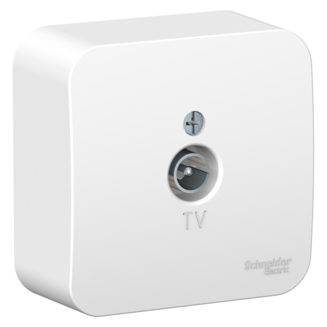 ���������� ������� 1 ���� TV SYSTEME ELECTRIC Blanca �����  