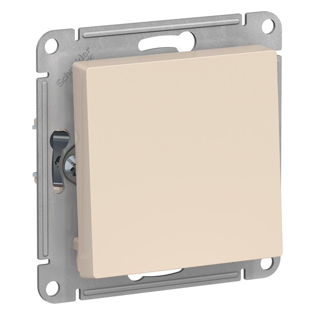 ���������� ����������� 1-��������� SYSTEME ELECTRIC Atlas Design 10� �������  