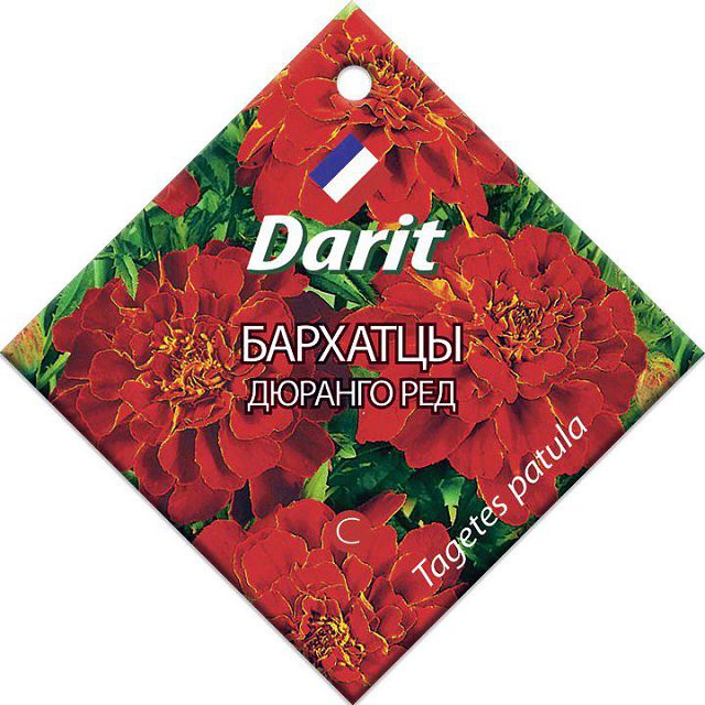���������� ������ �������� ������� ��� DARIT 10��  