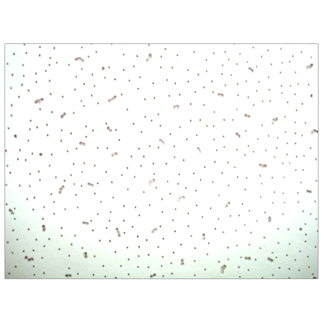 ���������� ����� ���������� BESTENHAUS 600�600�6�� ��.22��  