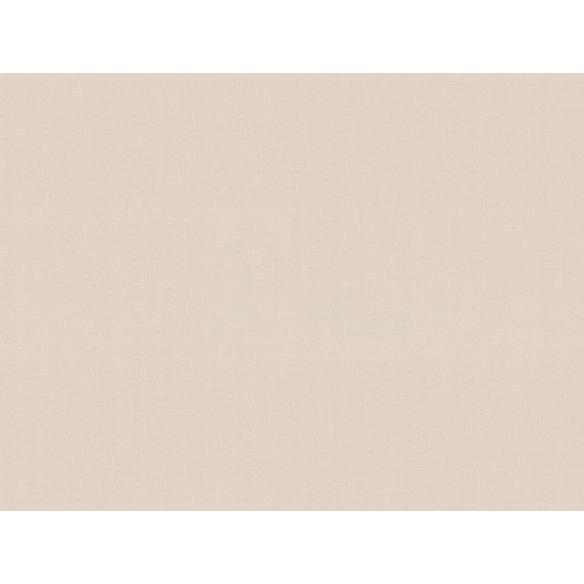 ���������� ���� HOME COLOR ��������� �� ������������ ������ 10,05�1,06�, ���. HC72561-24  