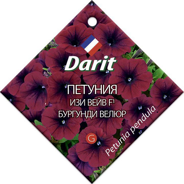 ���������� ������ ������� ��� ���� �������� ����� F1 DARIT 5��  