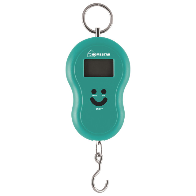 ���������� ������ HOMESTAR HS-3003 �� 50�� ����������� ���������  