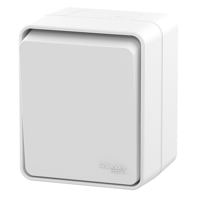 ���������� ����������� �������������� (������) SYSTEME ELECTRIC Atlas Design Profi54 �����  