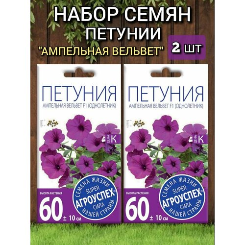 ���������� ������ ������ ��������� ������� ������� F1, ��������� ( ����� 2 ��), ���������.