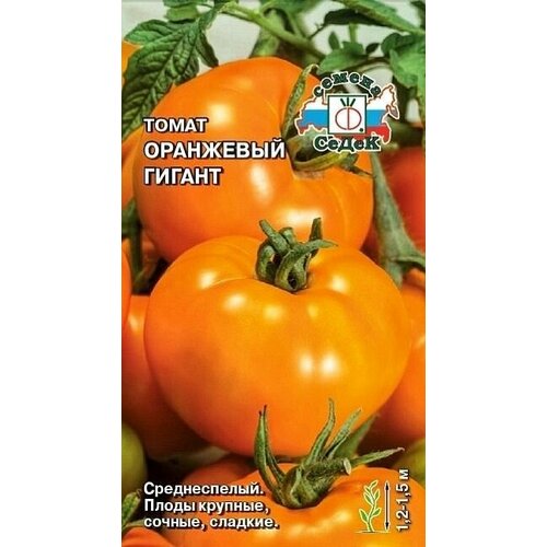 ���������� ����� ��������� ������, 1 �����, ������ 0,1 ��, �����