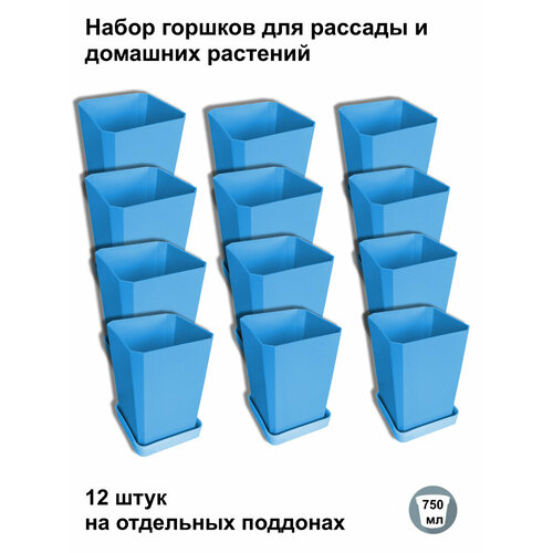 ���������� ������ ��� ������� � ������, 12 ���� �� ��������� ��������, �����