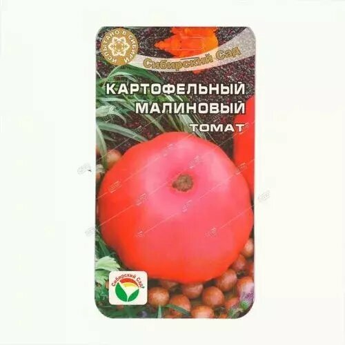 ���������� ����� ������������ ���������, ������ ��������� ��� 20��