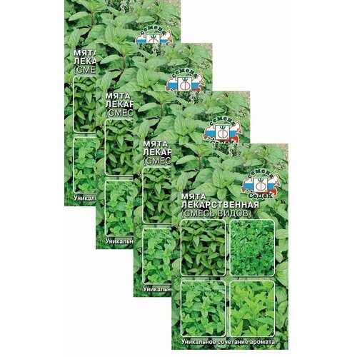 ���������� ������ ���� ������������� (����� �����) 0,05 � (�����), 4 �������� * 0,05 �