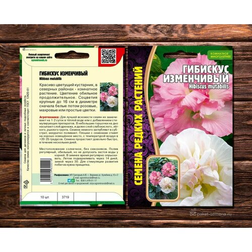    (Hibiscus mutabilis) (7 )   , -, 